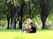 Cina: Pechino, copertura forestale raggiungerà il 45% nel 2025