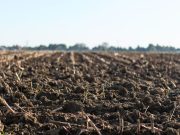 Giornata del suolo, Coldiretti Brescia: “Bloccare cementificazione”