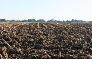 Giornata del suolo, Coldiretti Brescia: “Bloccare cementificazione”