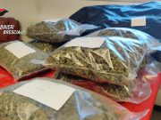 Leno, 16 kg di marijuana in casa. Coppia arrestata