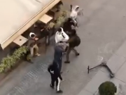 Rissa in Corso Garibaldi, 8 nord africani “denunciati in stato di libertà”