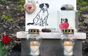 Regione, sì a cimiteri e impianti di cremazione per animali