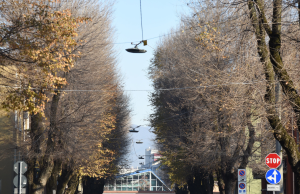 Alberi pericolanti a Brescia, al via tagli e ripiantumazioni. Ecco la mappa