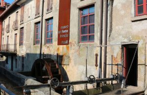 Musil, 100.000 euro dalla Loggia per riaprire a maggio