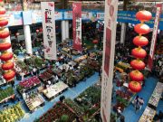 Cina: mercato dei fiori più grande dell’Asia registra boom attività nel 2024