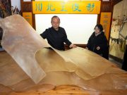 Cina: erede del Teatro delle ombre di Wang a Langzhong