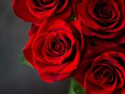 Coldiretti: a San Valentino fiori per un innamorato su due