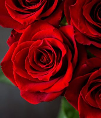 Coldiretti: a San Valentino fiori per un innamorato su due