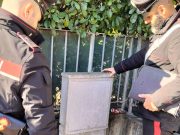Ruba l’energia elettrica dalla rete pubblica. Denunciato