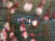 Cina: paesaggi primaverili durante “Jingzhe” a Pechino