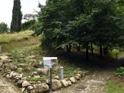 Affrontare la transizione climatica con la gestione del verde. Il Piano di Brescia