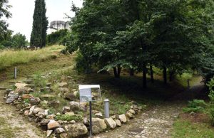 Affrontare la transizione climatica con la gestione del verde. Il Piano di Brescia