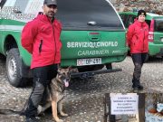 Bocconi avvelenati, il cane Senna al lavoro a Temù