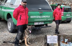Bocconi avvelenati, il cane Senna al lavoro a Temù