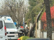 Rodengo, perde il controllo dell’auto e si schianta contro un albero