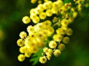 8 marzo: tutte le iniziative del Comune nella Giornata della Donna