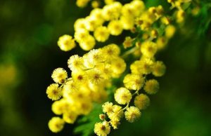 8 marzo: tutte le iniziative del Comune nella Giornata della Donna