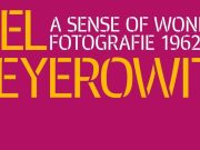 La grande mostra su Meyerowitz a Santa Giulia scatta martedì