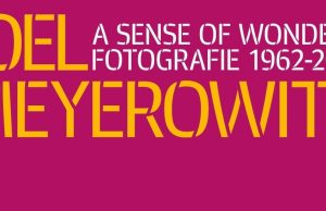 La grande mostra su Meyerowitz a Santa Giulia scatta martedì