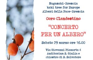 “Concerto per un albero” sabato nel chiostro di San Salvatore