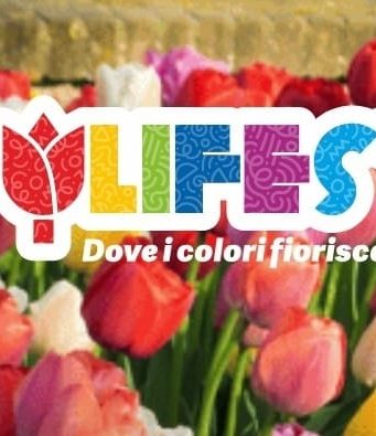 Domattina scatta Tulifest: tulipani per tutti a Boario