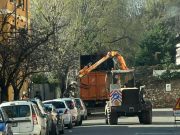 Polemica sull’abbattimento degli alberi. La risposta della Loggia