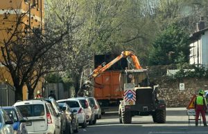 Polemica sull’abbattimento degli alberi. La risposta della Loggia