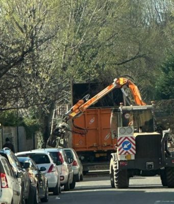 Polemica sull’abbattimento degli alberi. La risposta della Loggia