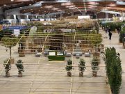 Un’architettura “coltivabile e alata” per Futura Expo, al via domani