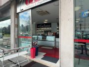 Panda sfonda la vetrina di 7° Gelo, danni ingenti