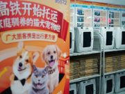 Cina: animali domestici in viaggio sulla rete ferroviaria ad alta velocità