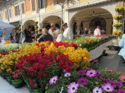 Brixia Florum, corso Zanardelli trasformato in un giardino