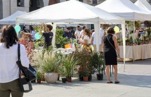 Brixia Florum, corso Zanardelli diventa un giardino colorato
