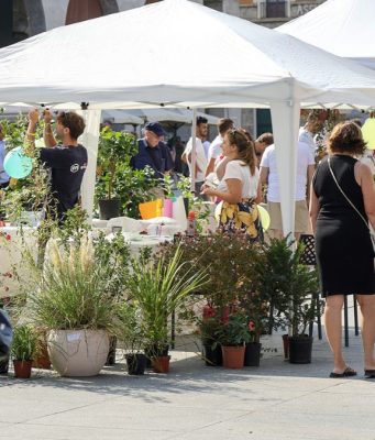 Brixia Florum, torna l’evento floreale che colora Brescia