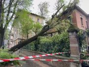 Decine di interventi per il maltempo. La bassa è la più colpita