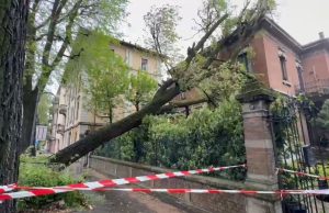Decine di interventi per il maltempo. La bassa è la più colpita