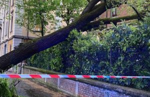 Ferrari e Andreoli: “Serve una svolta concreta per il verde cittadino”