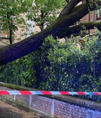 Ferrari e Andreoli: “Serve una svolta concreta per il verde cittadino”