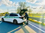 Ubriaco e senza patente, lo ferma la Polizia Locale di Rezzato