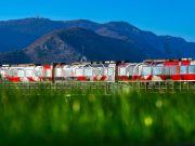 Il nuovo museo a cielo aperto di Brescia è “Metro urban museum”
