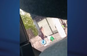 Sputano e calpestano la bandiera italiana. Gli autori sono tre ragazzi