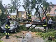 Vento e pioggia, il bilancio dei danni in città