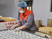 Cina: Liaoning, Liaoyang promuove industria agricola locale