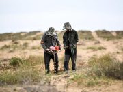 Cina: Mongolia Interna, autorità lavorano per rinverdimento deserto