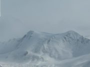 Cina: studio decifra riassorbimento nutrienti nelle piante sull’altopiano Qinghai-Tibet