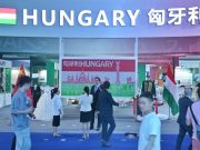 Cina: apertura della 20esima Western China International Fair a Chengdu