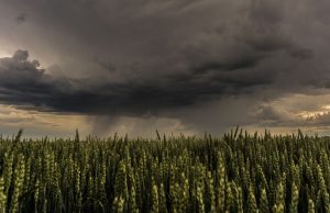 Bomba d’acqua, conta dei danni nelle campagne