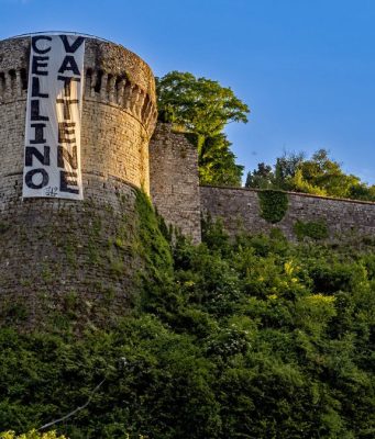 Brescia Calcio, tensione e caos. Domani incontro in Loggia