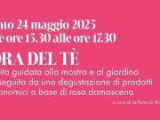 L’ora del Tè: ultimo appuntamento a Casa Zani