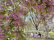 Cina: tecnologia intelligente cambia il contatto delle persone con la natura